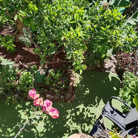 Casita Con Jardin 가라치코