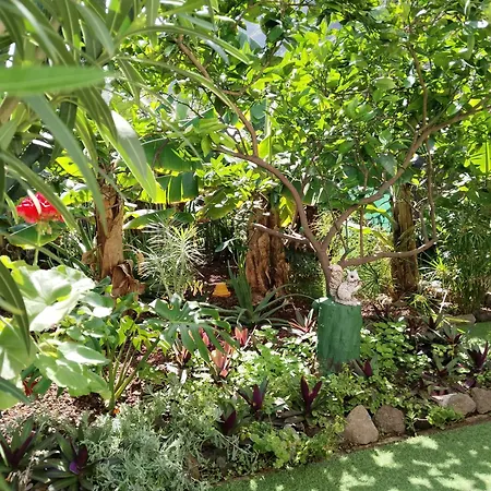 Casita Con Jardin Apartamento Garachico (Tenerife)